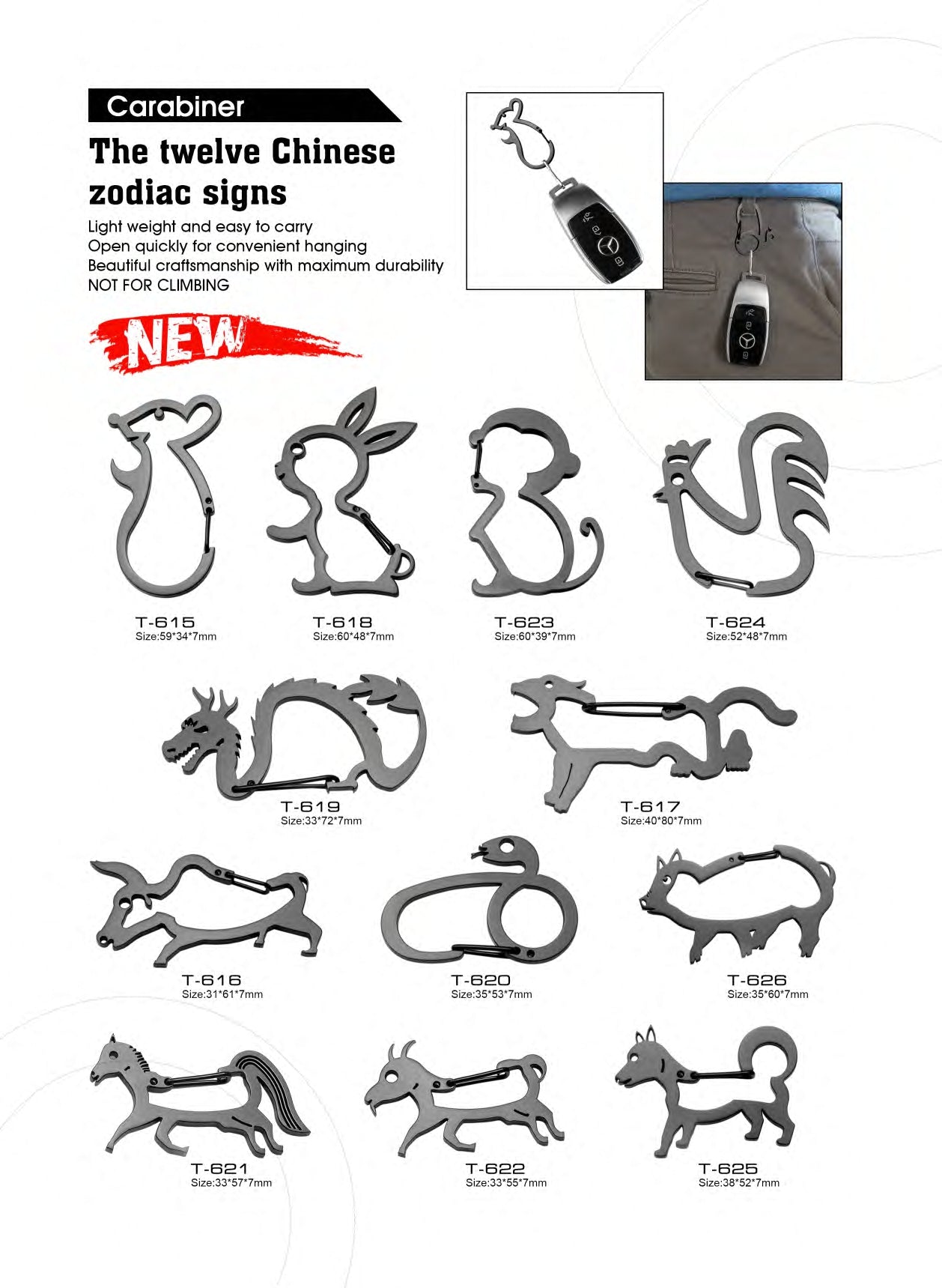 Atisen lightweight aluminum D-ring carabiner clip for camping. Bulk outdoor accessories manufacturer serving UK market.